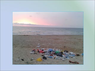 Plastic free sea ים נקי מפלסטיק