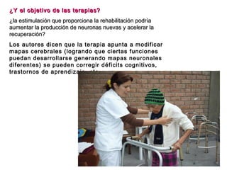 ¿Y el objetivo de las terapias?
¿la estimulación que proporciona la rehabilitación podría
aumentar la producción de neuronas nuevas y acelerar la
recuperación?
Los autores dicen que la terapia apunta a modificar
mapas cerebrales (logrando que ciertas funciones
puedan desarrollarse generando mapas neuronales
diferentes) se pueden corregir déficits cognitivos,
trastornos de aprendizaje, etc. 

 
