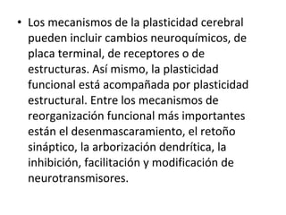 • Los mecanismos de la plasticidad cerebral
pueden incluir cambios neuroquímicos, de
placa terminal, de receptores o de
estructuras. Así mismo, la plasticidad
funcional está acompañada por plasticidad
estructural. Entre los mecanismos de
reorganización funcional más importantes
están el desenmascaramiento, el retoño
sináptico, la arborización dendrítica, la
inhibición, facilitación y modificación de
neurotransmisores.

 