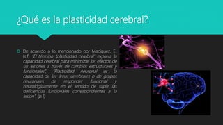 ¿Qué es la plasticidad cerebral?
 De acuerdo a lo mencionado por Macíquez, E.
(s.f) “El término “plasticidad cerebral” expresa la
capacidad cerebral para minimizar los efectos de
las lesiones a través de cambios estructurales y
funcionales”, “Plasticidad neuronal es la
capacidad de las áreas cerebrales o de grupos
neuronales de responder funcional y
neurológicamente en el sentido de suplir las
deficiencias funcionales correspondientes a la
lesión”. (p.1)
 