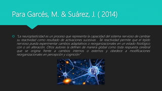 Para Garcés, M. & Suárez, J. ( 2014)
 “La neuroplasticidad es un proceso que representa la capacidad del sistema nervioso de cambiar
su reactividad como resultado de activaciones sucesivas . Tal reactividad permite que el tejido
nervioso pueda experimentar cambios adaptativos o reorganizacionales en un estado fisiológico
con o sin alteración. Otros autores la definen de manera global como toda respuesta cerebral
que se origina frente a cambios internos o externos y obedece a modificaciones
reorganizacionales en percepción y cognición”
 