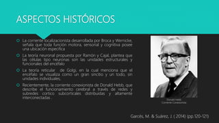 ASPECTOS HISTÓRICOS
 La corriente localizacionista desarrollada por Broca y Wernicke,
señala que toda función motora, sensorial y cognitiva posee
una ubicación especifica
 La teoría neuronal propuesta por Ramón y Cajal, plantea que
las células tipo neuronas son las unidades estructurales y
funcionales del encéfalo
 La teoría reticular de Golgi, en la cual menciona que el
encéfalo se visualiza como un gran sincitio y un todo, sin
unidades individuales,
 Recientemente, la corriente conexionista de Donald Hebb, que
describe el funcionamiento cerebral a través de redes y
subredes cortico subcorticales distribuidas y altamente
interconectadas .
Garcés, M. & Suárez, J. ( 2014) (pp.120-121)
Donald Hebb
Corriente Conexionista
 