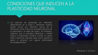 CONDICIONES QUE INDUCEN A LA
PLASTICIDAD NEURONAL
 Los patrones de plasticidad son diferentes
dependiendo de la edad y, realmente, todavía
queda mucho por descubrir acerca de la
interacción entre el tipo de actividad inductora de
la plasticidad y la edad del sujeto. Sin embargo,
sabemos que la actividad intelectual y mental
induce la plasticidad cerebral cuando se aplica
tanto a personas mayores sanas como cuando se
aplica a ancianos con alguna enfermedad
neurodegenerativa.
Macíquez, E. (s.f) (p.5)
 