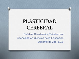 PLASTICIDAD
CEREBRAL
Catalina Rivadeneira Peñaherrera
Licenciada en Ciencias de la Educación
Docente de 2do. EGB
 
