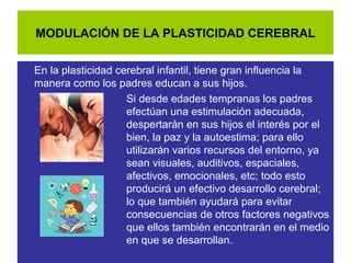 MODULACIÓN DE LA PLASTICIDAD CEREBRAL
En la plasticidad cerebral infantil, tiene gran influencia la
manera como los padres educan a sus hijos.
Si desde edades tempranas los padres
efectúan una estimulación adecuada,
despertarán en sus hijos el interés por el
bien, la paz y la autoestima; para ello
utilizarán varios recursos del entorno, ya
sean visuales, auditivos, espaciales,
afectivos, emocionales, etc; todo esto
producirá un efectivo desarrollo cerebral;
lo que también ayudará para evitar
consecuencias de otros factores negativos
que ellos también encontrarán en el medio
en que se desarrollan.
 
