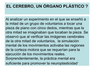 EL CEREBRO, UN ÓRGANO PLÁSTICO ?
Al analizar un experimento en el que se enseñó a
la mitad de un grupo de voluntarios a tocar una
pieza de piano con cinco dedos, mientras que la
otra mitad se imaginaban que tocaban la pieza. Se
observó que al verificar las imágenes cerebrales
de la otra mitad de voluntarios, la simulación
mental de los movimientos activaba las regiones
de la corteza motora que se requerían para la
ejecución de los movimientos reales.
Sorprendentemente, la práctica mental era
suficiente para promover la neuroplasticidad1
.
 