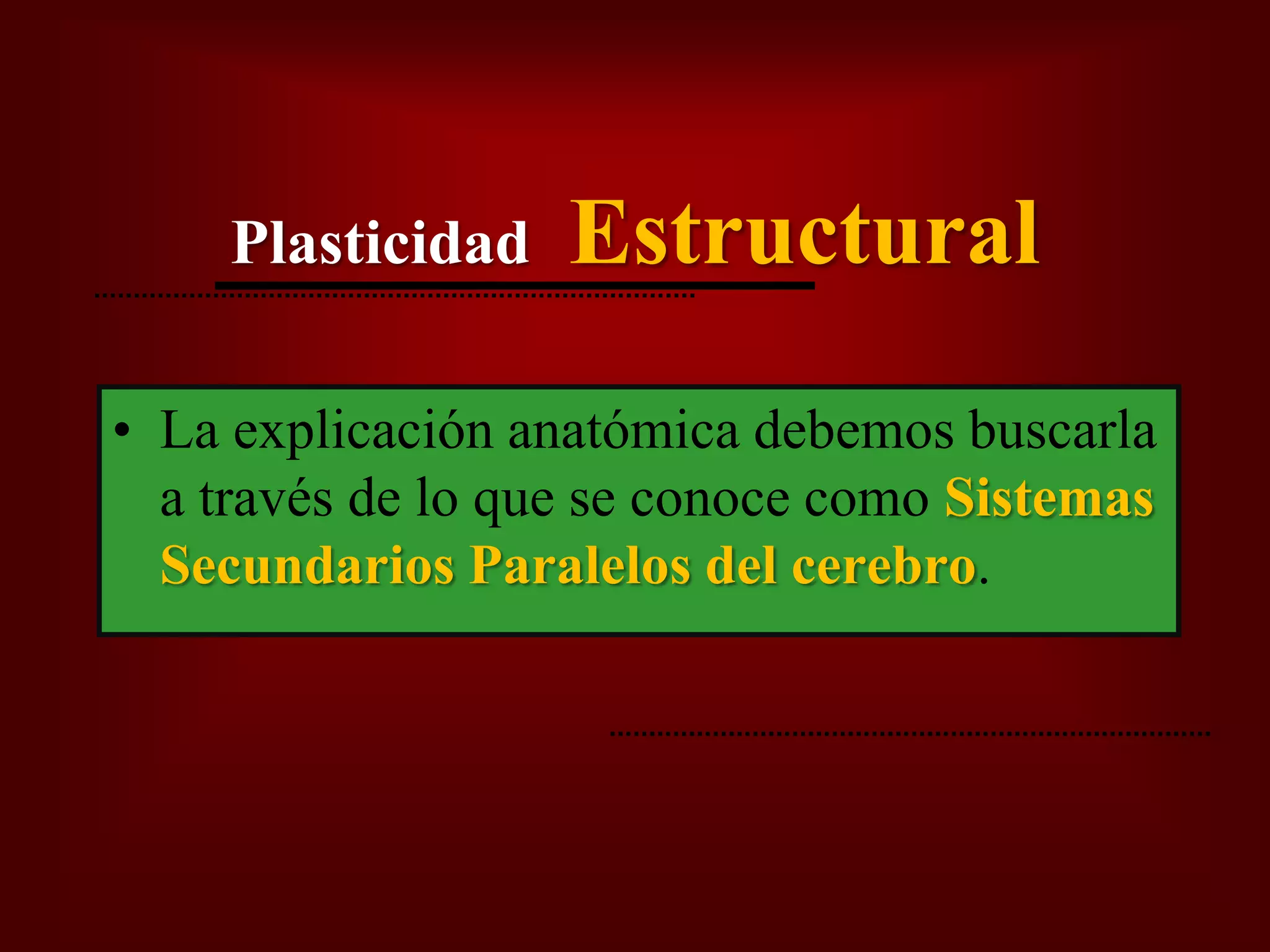 Plasticidad Neural