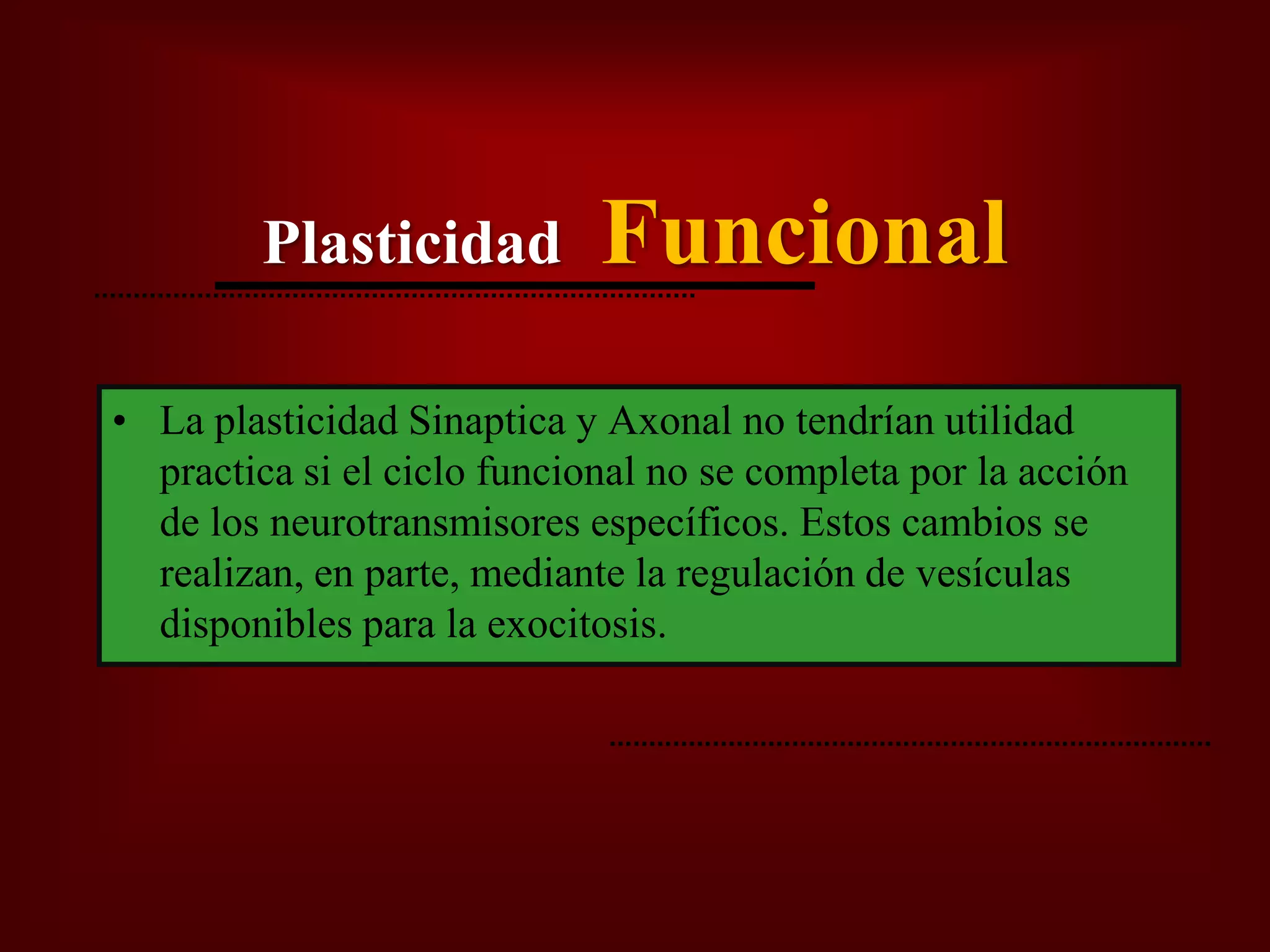 Plasticidad Neural