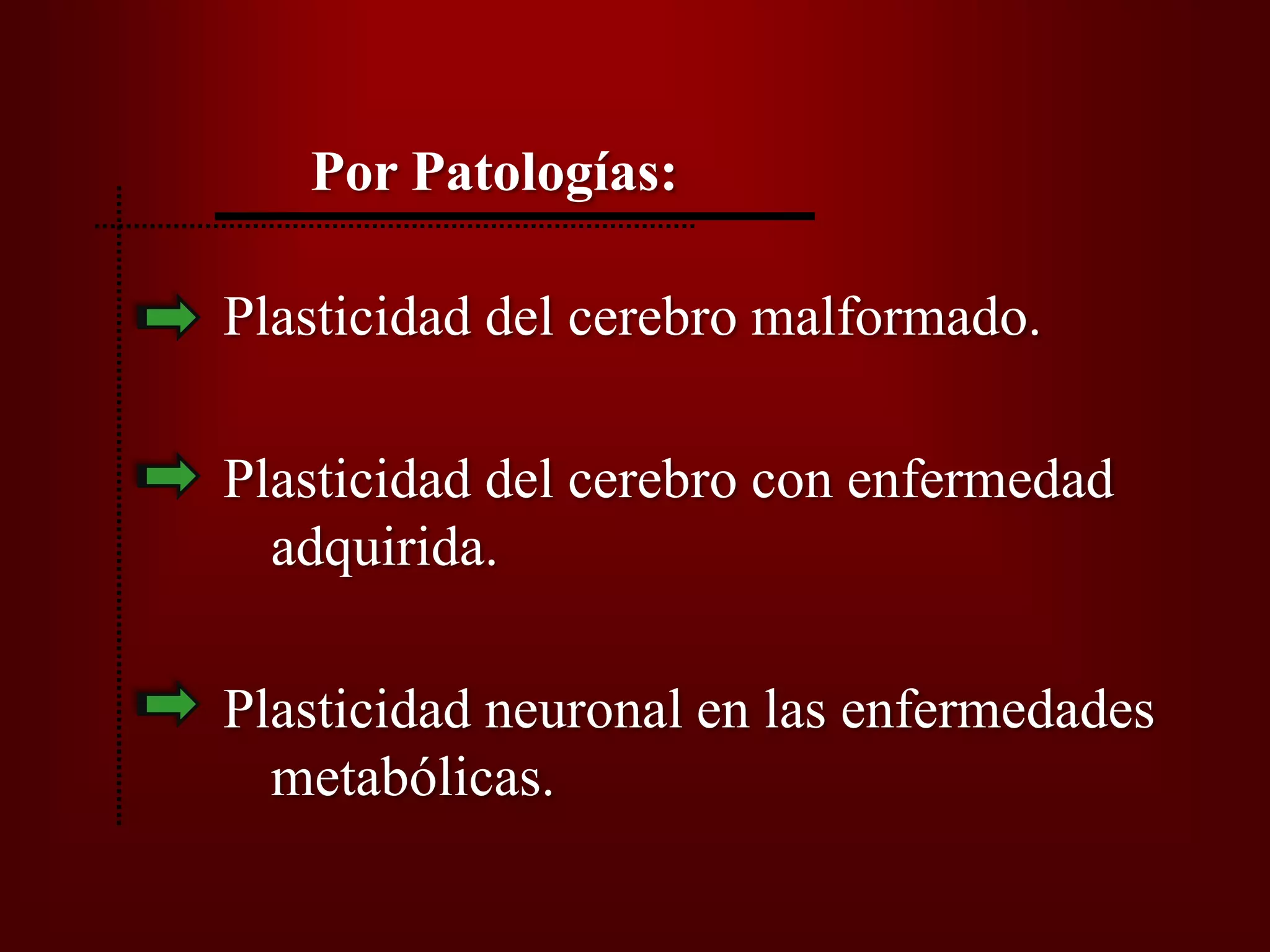 Plasticidad Neural