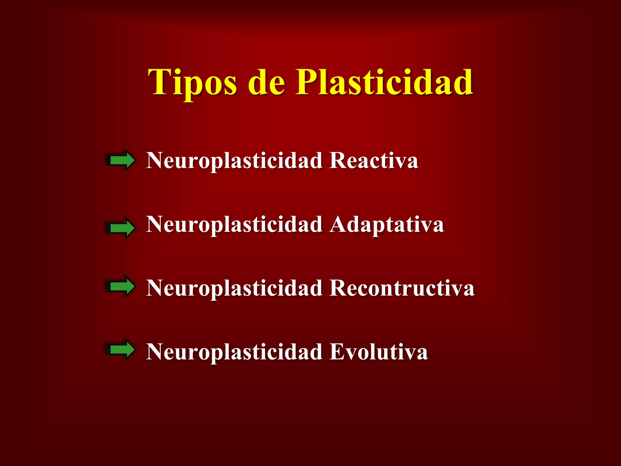 Plasticidad Neural