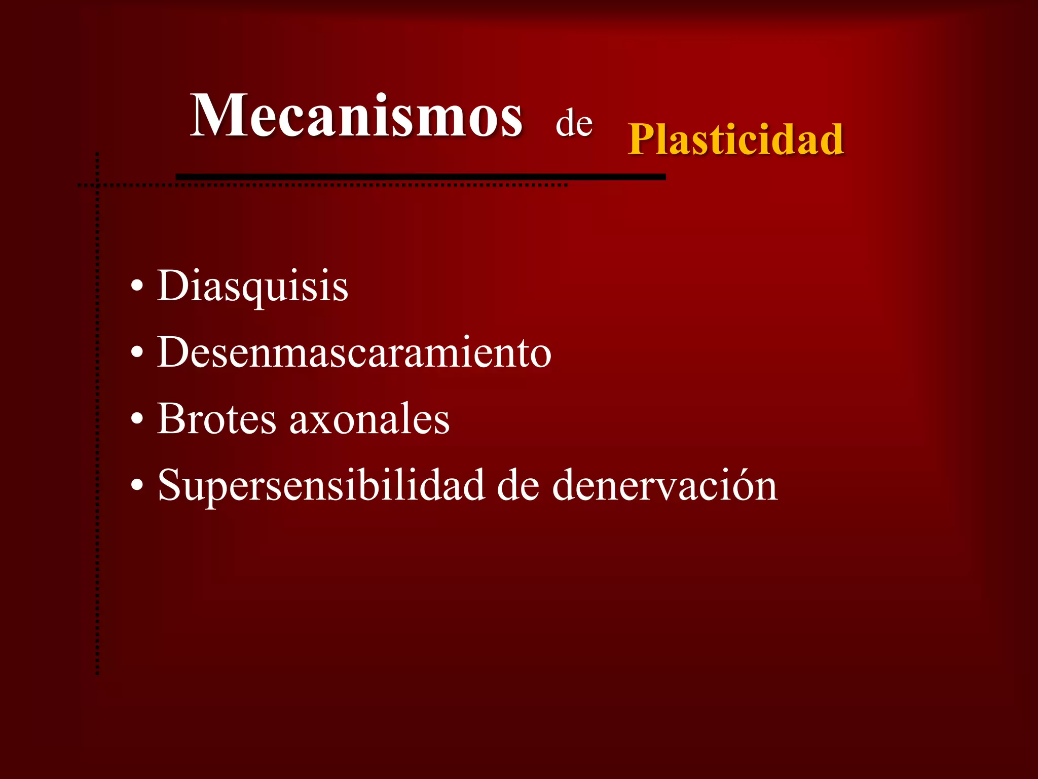 Plasticidad Neural