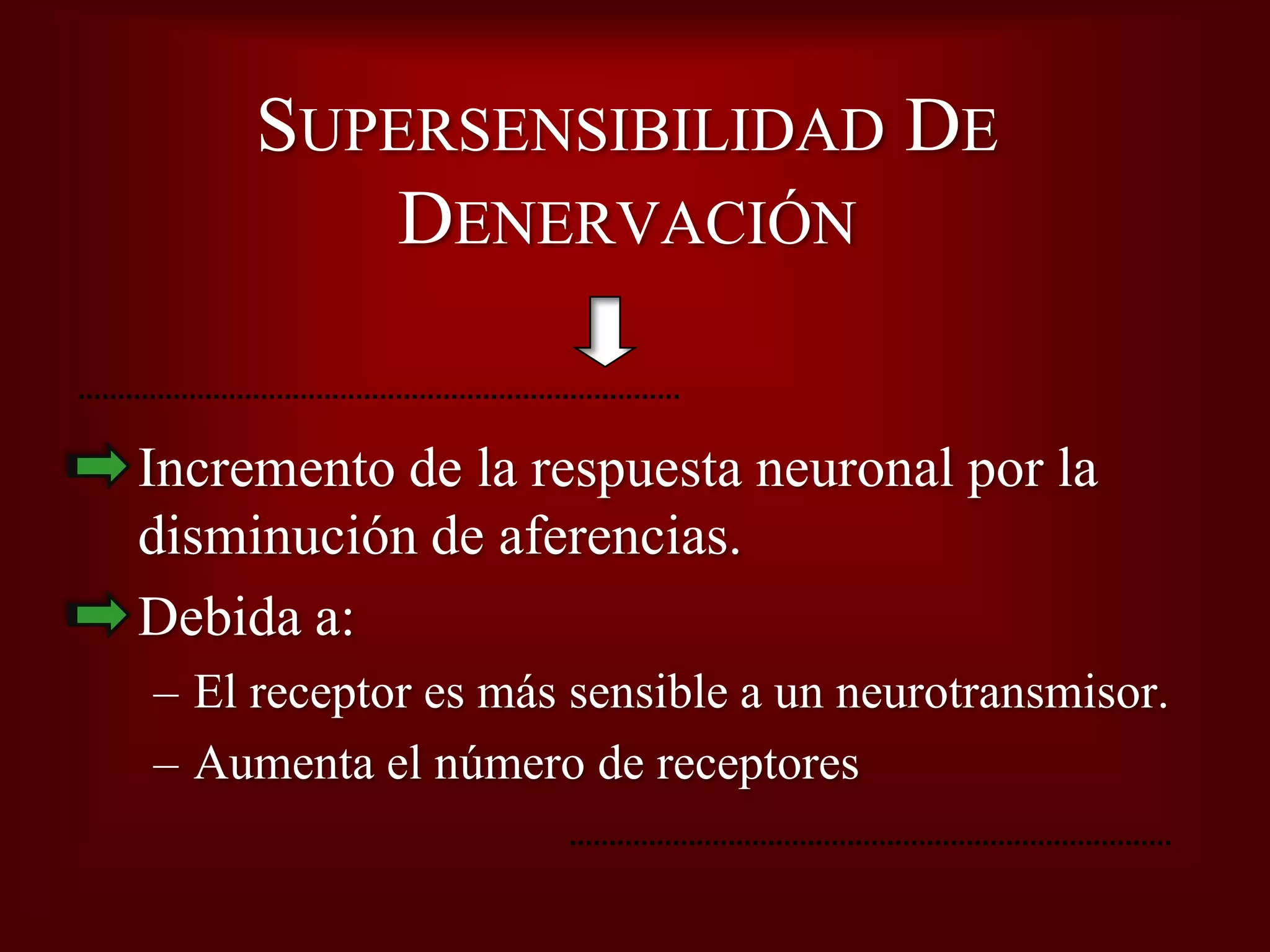 Plasticidad Neural