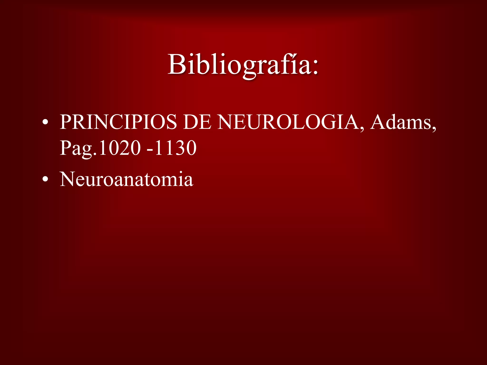 Plasticidad Neural