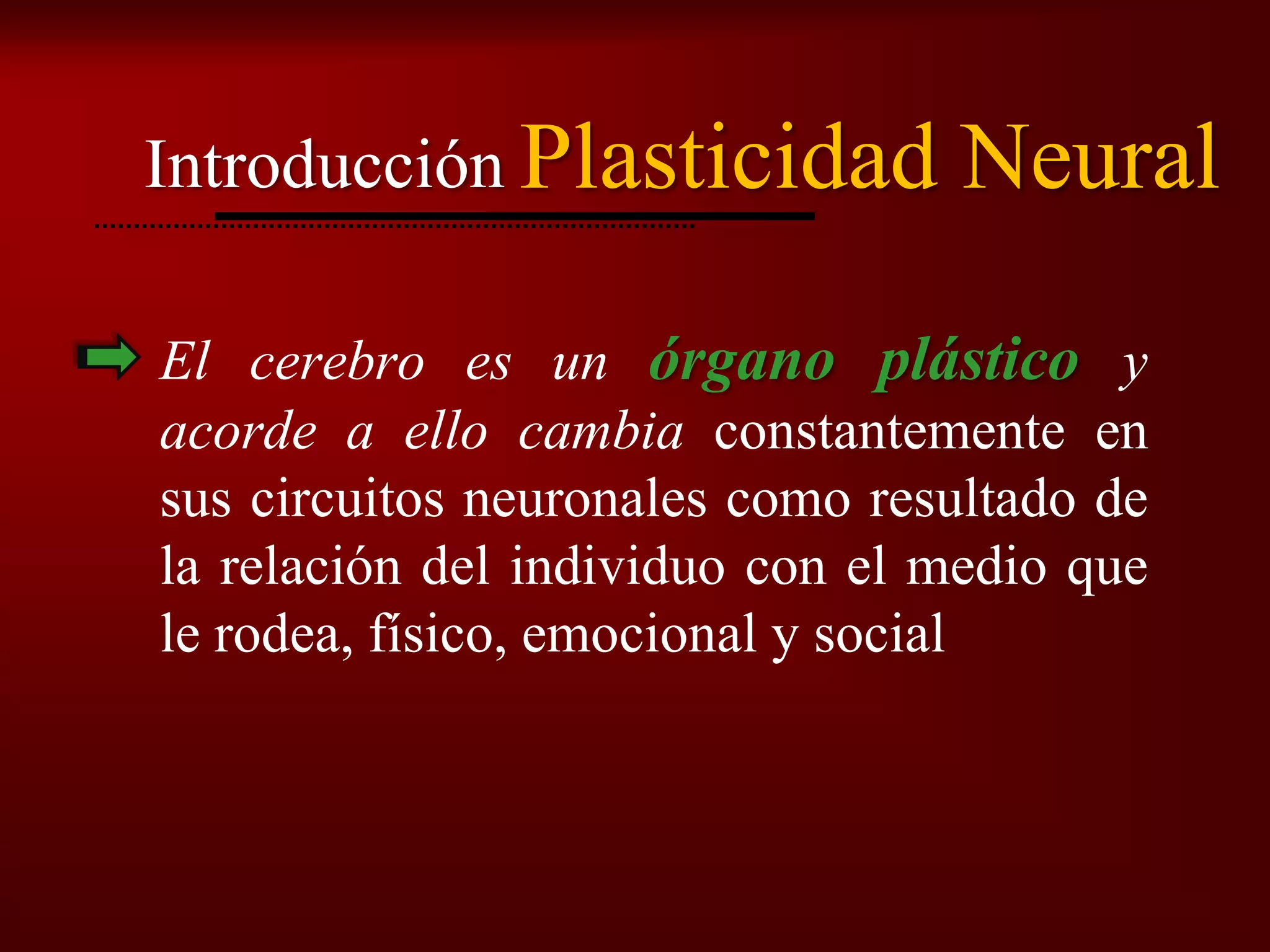 Plasticidad Neural