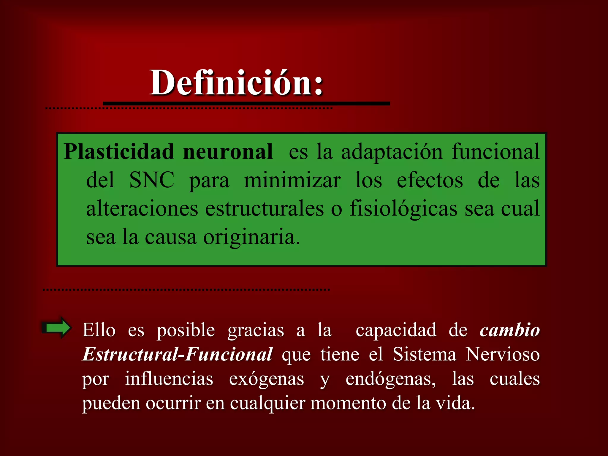 Plasticidad Neural