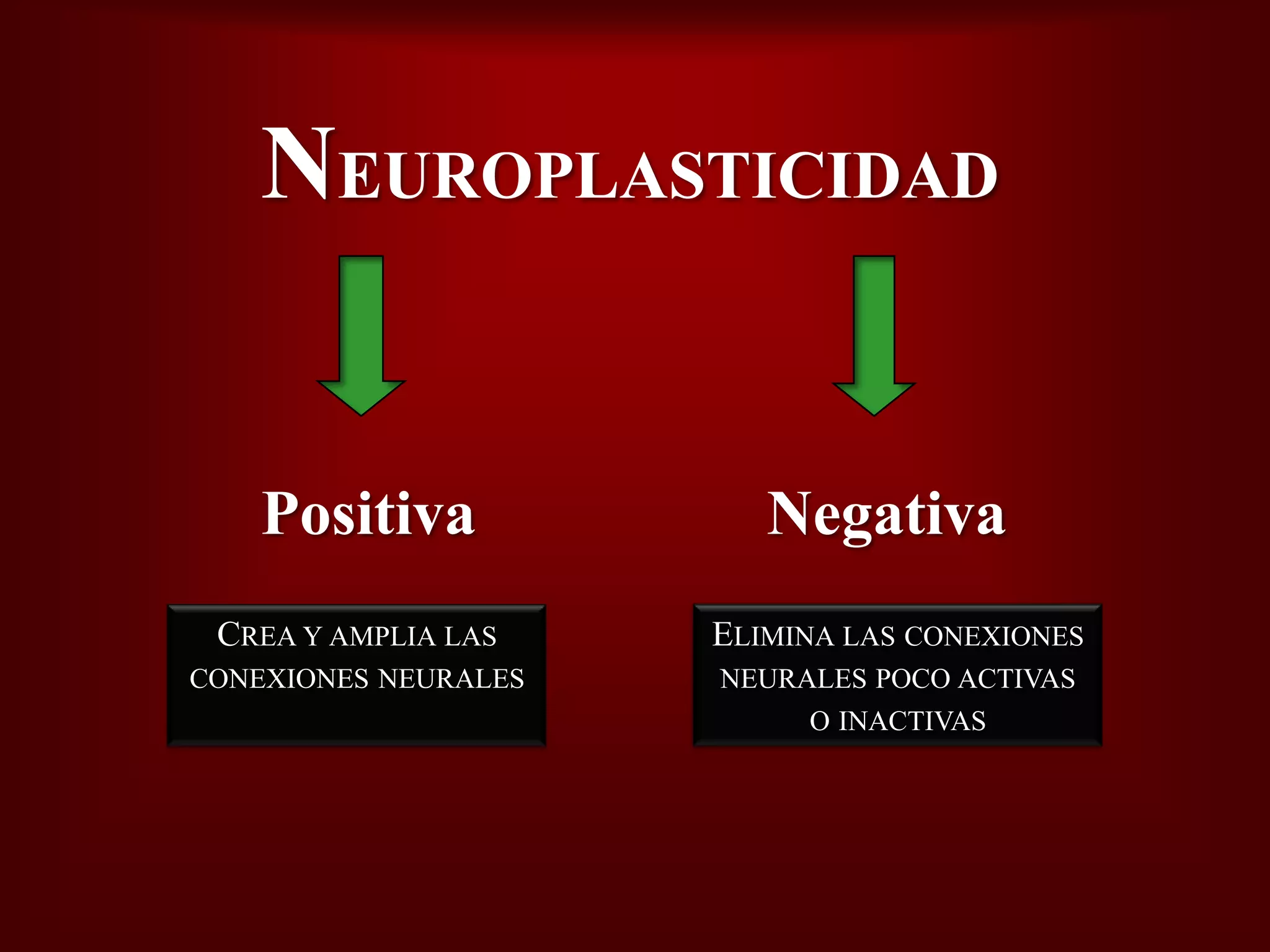 Plasticidad Neural