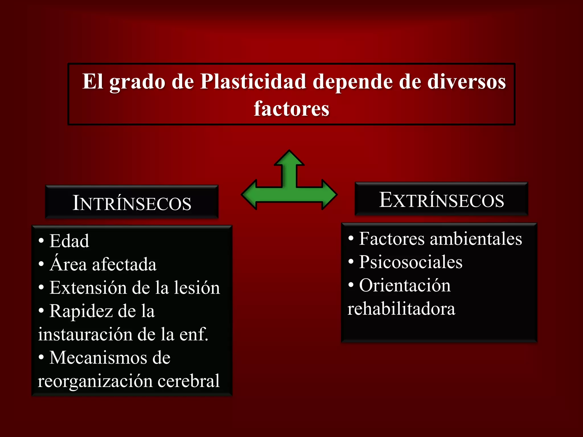 Plasticidad Neural