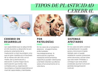 TIPOS DE PLASTICIDAD
CEREBRAL
Las capacidades que va adquiriendo
el niño durante su desarrollo no son
producto solamente de la
maduración a nivel neurológico, sino
que en gran medida son el resultado
de la interacción del niño con el
medio, de su estimulación y
educación. Cuanto mayor sea la
estimulación que recibe, más
completa será su organización
neurológica y mejores expectativas al
nivel de capacidades y habilidades.
CEREBRO EN
DESARROLLO
En los casos de un progresivo
deterioro - envejecimiento,
enfermedades
neurodegenerativas- la
estimulación cognitiva
mediante entrenamientos
específicos pueden ralentizarse
y también retardar sus efectos
sobre el funcionamiento en la
vida diaria.
POR
PATOLOGÍAS
En los casos de daño cerebral,
la rehabilitación no puede
poner a funcionar el tejido
dañado, pero sí puede
establecer nuevas conexiones
entre neuronas y activar otras
que sólo están inhibidas, o
conseguir que otras áreas
cerebrales asuman la función
perdida (reorganización
cortical).
SISTEMAS
AFECTADOS
 