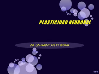 PLASTICIDAD NEURONAL DR. EDUARDO SOLIS WONG 