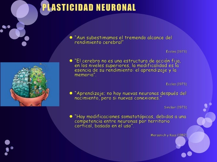 https://image.slidesharecdn.com/plasticidadneuronalysugerenciasapadres-110629214832-phpapp01/95/plasticidad-neuronal-y-sugerencias-a-padres-4-728.jpg?cb=1309384265