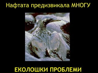 Нафтата предизвикала МНОГУ   ЕКОЛОШКИ ПРОБЛЕМИ   