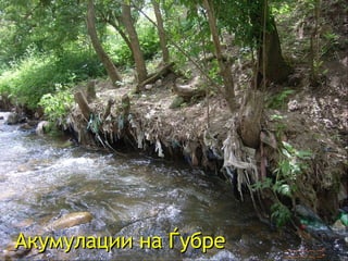 Акумулации на Ѓубре  