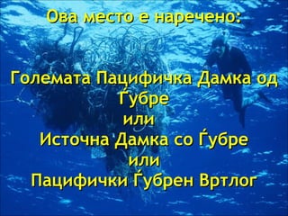 Ова место е наречено : Големата Пацифичка Дамка од Ѓубре или  Источна Дамка со Ѓубре или Пацифички Ѓубрен Вртлог 