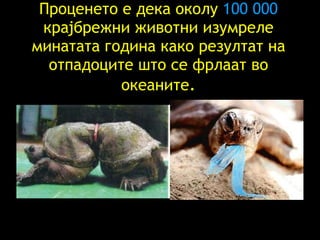 Проценето е дека околу   100   000   крајбрежни животни   изумреле минатата година како резултат на отпадоците што се фрлаат во океаните . 