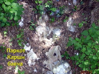 Паркот Карши бавча  