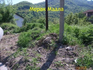 Мерак Маала 