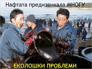 Нафтата предизвикала МНОГУ   ЕКОЛОШКИ ПРОБЛЕМИ   