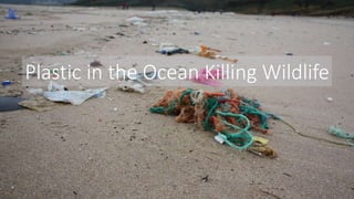 Plastic in the ocean killing wildlife | PPT