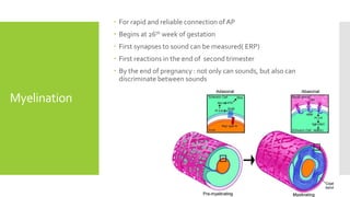 Auditory system Plasticity | PPTX
