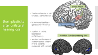 Auditory system Plasticity | PPTX