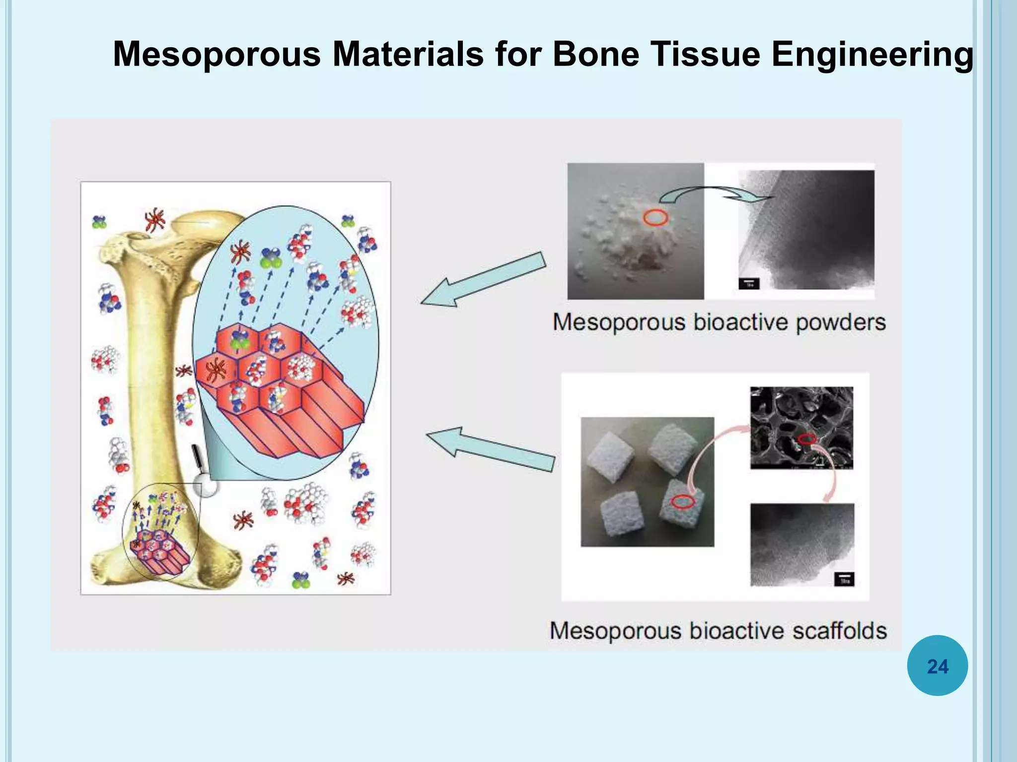 Mesoporous Materials for Bone Tissue Engineering
24
 