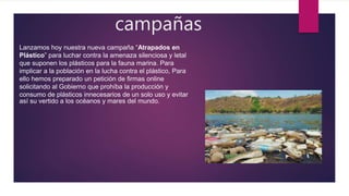 campañas
Lanzamos hoy nuestra nueva campaña “Atrapados en
Plástico” para luchar contra la amenaza silenciosa y letal
que suponen los plásticos para la fauna marina. Para
implicar a la población en la lucha contra el plástico, Para
ello hemos preparado un petición de firmas online
solicitando al Gobierno que prohíba la producción y
consumo de plásticos innecesarios de un solo uso y evitar
así su vertido a los océanos y mares del mundo.
 