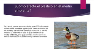 ¿Cómo afecta el plástico en el medio
ambiente?
Se calcula que se producen al año unas 100 millones de
toneladas de plásticos y gran parte de ellos acaban en
los mares y los océanos formando el 80% de la basura
marina. El problema no solo es que contaminan el
medio ambiente, sino que además, pueden tener un
efecto nocivo sobre nuestra salud y sobre los animales
 