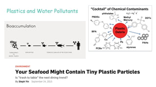 Plastics and Water Pollutants
 