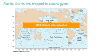 Plastic debris are trapped in oceans gyres
5000 billions microplastics
 