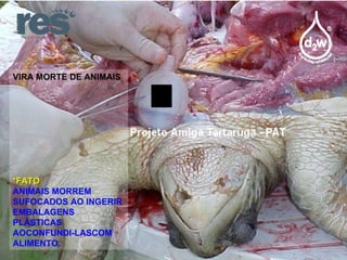 VIRA MORTE DE ANIMAIS *FATO ANIMAIS MORREM SUFOCADOS AO INGERIR EMBALAGENS PLÁSTICAS AOCONFUNDI-LASCOM ALIMENTO. 