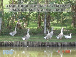 O QUE TODOS PODEM E DEVEM FAZER PARA MUDAR ESTA REALIDADE? 