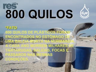 800 QUILOS *FATO 800 QUILOS DE PLÁSTICOS FORAM ENCONTRADOS NO ESTÔMAGO DE UMA BALEIA MORTA NA NORMANDIA. A CADA ANO MORREM MILHARES DE TARTARUGAS, BALEIAS, FOCAS E PÁSSAROS NAS MESMAS CONDIÇÕES. 