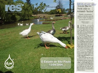 O Estado de São Paulo 13/04/2004 