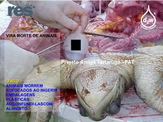 VIRA MORTE DE ANIMAIS *FATO ANIMAIS MORREM SUFOCADOS AO INGERIR EMBALAGENS PLÁSTICAS AOCONFUNDI-LASCOM ALIMENTO. 