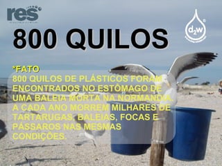 800 QUILOS *FATO 800 QUILOS DE PLÁSTICOS FORAM ENCONTRADOS NO ESTÔMAGO DE UMA BALEIA MORTA NA NORMANDIA. A CADA ANO MORREM MILHARES DE TARTARUGAS, BALEIAS, FOCAS E PÁSSAROS NAS MESMAS CONDIÇÕES. 