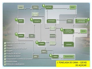 1 TONELADA DE CANA – 120 KG
                DE AÇÚCAR
 