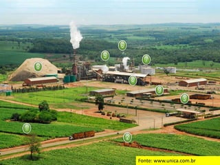 Fonte: www.unica.com.br
 