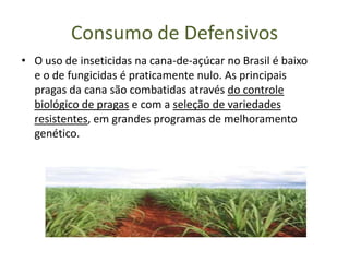 Consumo de Defensivos
• O uso de inseticidas na cana-de-açúcar no Brasil é baixo
  e o de fungicidas é praticamente nulo. As principais
  pragas da cana são combatidas através do controle
  biológico de pragas e com a seleção de variedades
  resistentes, em grandes programas de melhoramento
  genético.
 