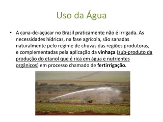 Uso da Água
• A cana-de-açúcar no Brasil praticamente não é irrigada. As
  necessidades hídricas, na fase agrícola, são sanadas
  naturalmente pelo regime de chuvas das regiões produtoras,
  e complementadas pela aplicação da vinhaça (sub-produto da
  produção do etanol que é rica em água e nutrientes
  orgânicos) em processo chamado de fertirrigação.
 