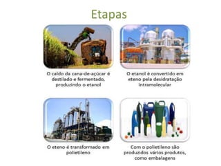 Etapas
 